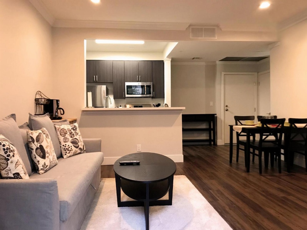 Brilliant Apartment Walk Distance to UCLA O9